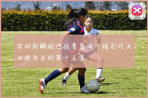 深圳新鹏城迎战青岛海牛精彩对决回顾与分析第十五集